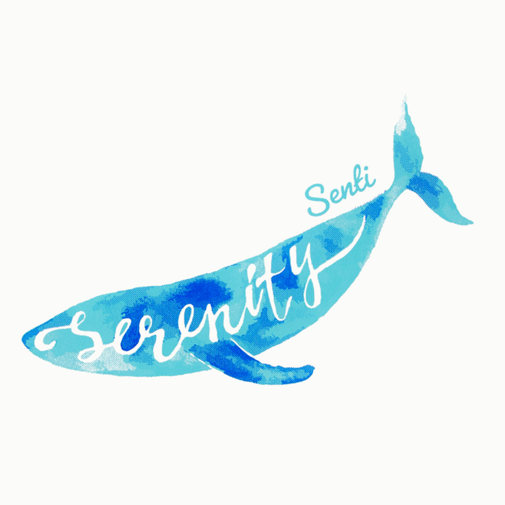 세레니티 실리콘수모 화이트